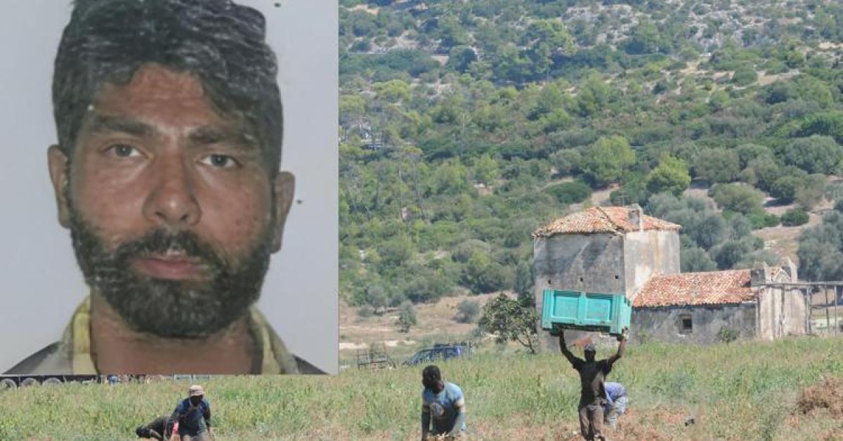 Bracciante Morto A Latina Arrestato Titolare Azienda Il Gip Condotta Disumana Il Giornale