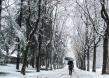 Meteo dicembre 2023, neve abbondante in arrivo e freddo sopra la media per il vento dalla Russia con temperature giù di 13 gradi
