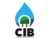Energia, Cib presenta a Biogas Italy report sul potenziale produttivo di biometano