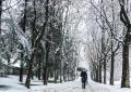 Meteo dicembre 2023, neve abbondante in arrivo e freddo sopra la media per il vento dalla Russia con temperature giù di 13 gradi