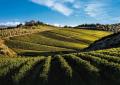 Tenuta Perano