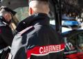 Porta il cane a passeggio nel centro di Napoli, 19enne accerchiato e accoltellato da coetanei