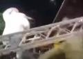 Incidente per Raphael Gualazzi al concerto ad Agnone Cilento: set di luci e travi gli crollano addosso mentre suona il pianoforte - VIDEO