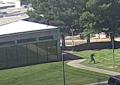 Attentato a Charlie Kirk, il VIDEO della fuga del killer: il salto dal tetto per poi scappare dal parco dove è stato ritrovato fucile