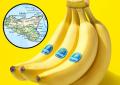 Chiquita realizzerà in Sicilia le prime piantagioni di banane made in Italy e le vendite a partire dal 2026
