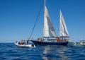 Flotilla, attivisti denunciano Israele, sul tavolo reati di sequestro di persona e maltrattamenti, 138 restano in carcere in Israele