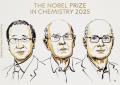 Premio Nobel per la chimica a Susumu Kitagawa, Richard Robson e Omar M. Yaghi per lo sviluppo di strutture metallo-organiche
