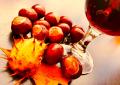 castagne e vino (da pixabay))