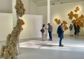Corner MAXXI, Chris Soal