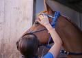 Liberarsi dagli schermi con il cavallo. Gli adolescenti e le dipendenze tecnologiche