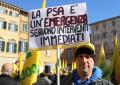 Coldiretti contro la Peste Suina 