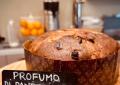 Profumo Urban Farm Bakery