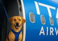 ITA Airways lancia sui voli domestici il servizio &ldquo;Large Pet Friendly&rdquo; per animali in cabina fino a 30 kg dopo le modifiche ENAC