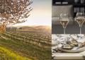 Festival di Primavera e vini Franciacorta fra il lago d&rsquo;Iseo, Brescia e i borghi del territorio