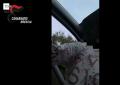 Lonato del Garda (BS), 44enne Dolores Dori morta dopo esser stata ferita da 3 colpi di pistola, la sparatoria in un campo rom per questioni sentimentali - VIDEO