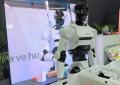 Quando la tecnologia è da perfezionare, missione fallita per il robot