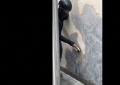 Il nuovo murale di Banksy a Londra è stato cancellato