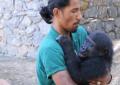 Zeytin il gorillino, salvato in aeroporto a Istanbul, torna in Nigeria
