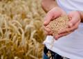 Expo 2015: 10 anni dopo nutrire il Pianeta è ancora una sfida attuale