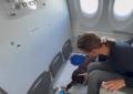 In aereo con cani di grossa taglia senza trasportino