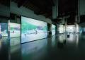 Le Metamorfosi di Isaac Julien dentro Palazzo Te a Mantova