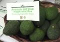 Lidl punta sull'avocado dell'Etna: 172 ton in ultima stagione (+120%)