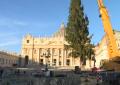 Innalzato in Vaticano il tradizionale albero di Natale