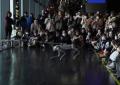 Tokyo, il cane robot attacca il pubblico: arte e paure dell'IA