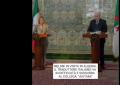 Meloni in Algeria, traduttore italiano in difficolt&agrave; mentre parla il presidente Tebboune: "Aiutami", sostituito dal collega - VIDEO