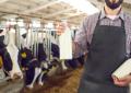 Agricoltura, Ismea: filiera lattiero casearia cresce e si rafforza sui mercati esteri