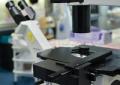 Sanità: in Usa +460% infezioni enterobatteri Ndm resistenti alle terapie