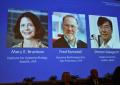 Nobel per la Medicina a Brunkow, Ramsdell e Sakaguchi: hanno scoperto la 'security' del sistema immunitario