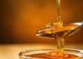 Non solo dolcezza: nel miele di acacia i microRna che 'parlano' al sistema immunitario