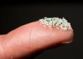 Medici ambiente, 'da cervello a placenta microplastiche ovunque nel nostro corpo