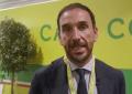 Granieri (Coldiretti): "Con l'avvio nuova campagna olio la produzione salirà del 30%"