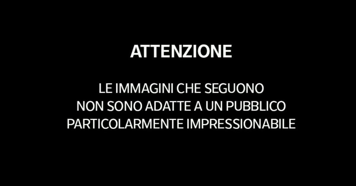 Cina, tragedia sul Monte Nama, alpinista 31enne morto dopo essere precipitato da 5mila metri, si era staccato dal gruppo per farsi un selfie   VIDEO