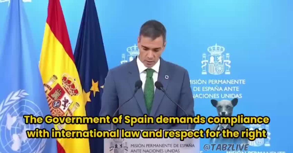 Attacco a Flotilla, Spagna imita Italia e invia nave della Marina per assistere attivisti, Sánchez: "Rispettare diritto internazionale"   VIDEO