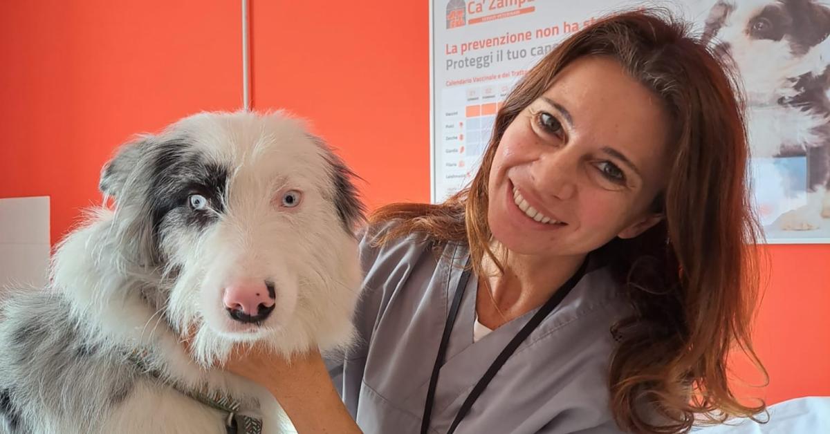 Cani al guinzaglio, culle in soffitta: l’Italia che invecchia e coccola a 4 zampe, sono oltre 65mln i pet nelle case italiane