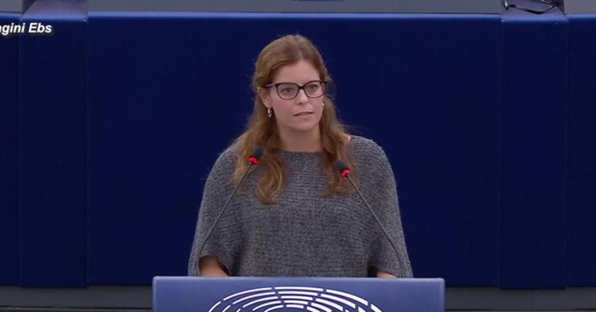 ilaria salis 23 settembre voto su revoca immunit224 parlamentare rischio mandato d arresto lega intollerante estremista fuori da strasburgo