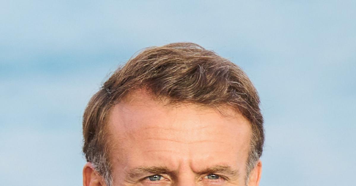 i volenterosi d europa vogliono la prosecuzione della guerra in ucraina macron addirittura vuole mandare truppe al fronte