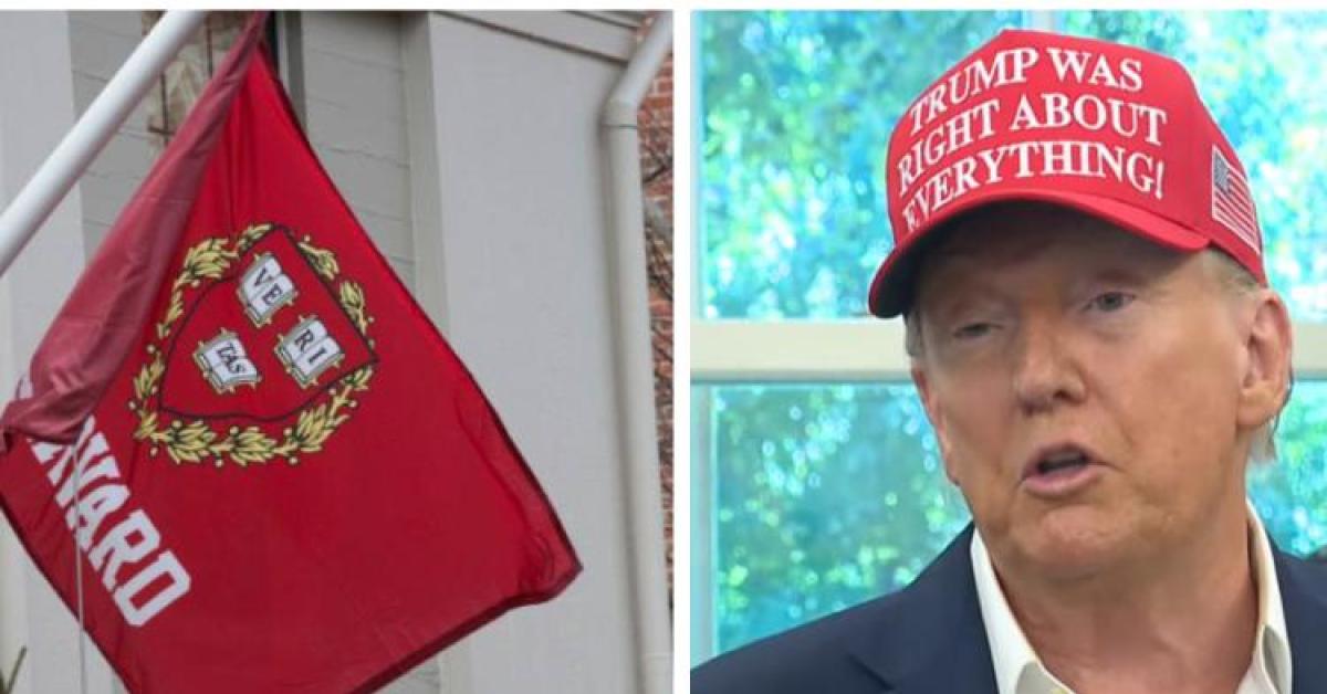 Harvard batte Trump, una sentenza che è un baluardo contro l