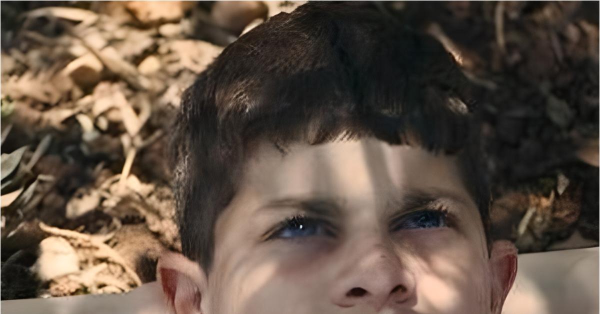 Israele, film filopalestinese "The Sea" vince Ophir Awards e ottiene nomination all
