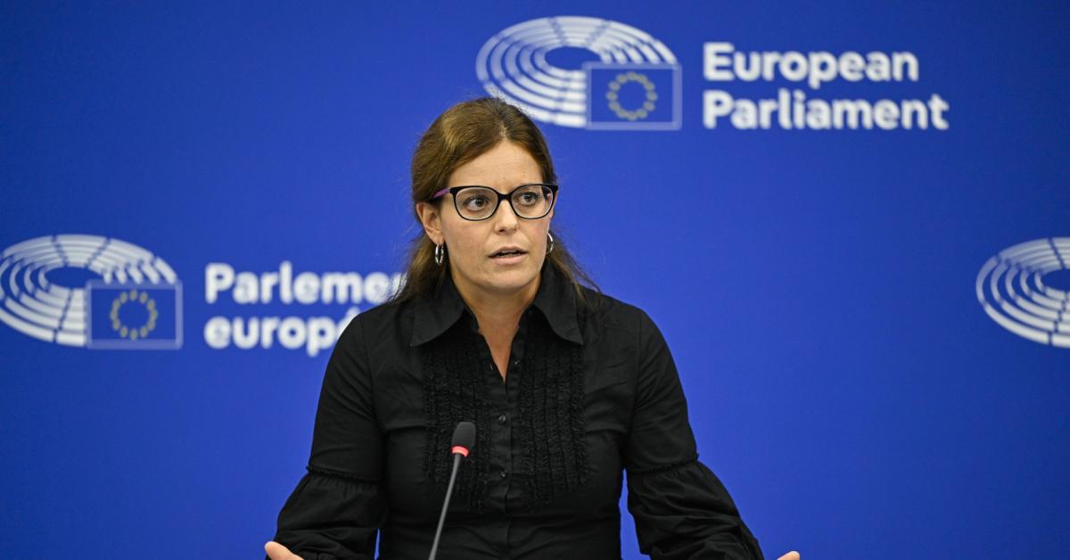 ilaria salis parlamento ue conferma immunit224 parlamentare al primo voto 13 voti favorevoli 12 contrari decisivi 2 eurodeputati del ppe