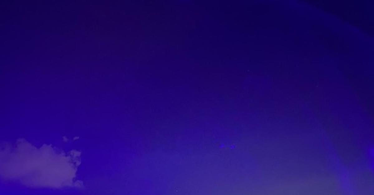 Riccardo Cocciante, un grande, un concerto bellissimo. Ma senz’anima…