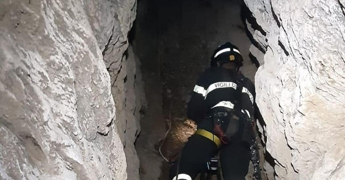 imperia il cane cade in un pozzo mentre passeggia con il padrone intervengono i pompieri e lo salvano