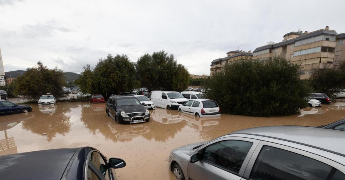 Ibiza, forte maltempo con strade allagate, alberi caduti e gravi disagi all