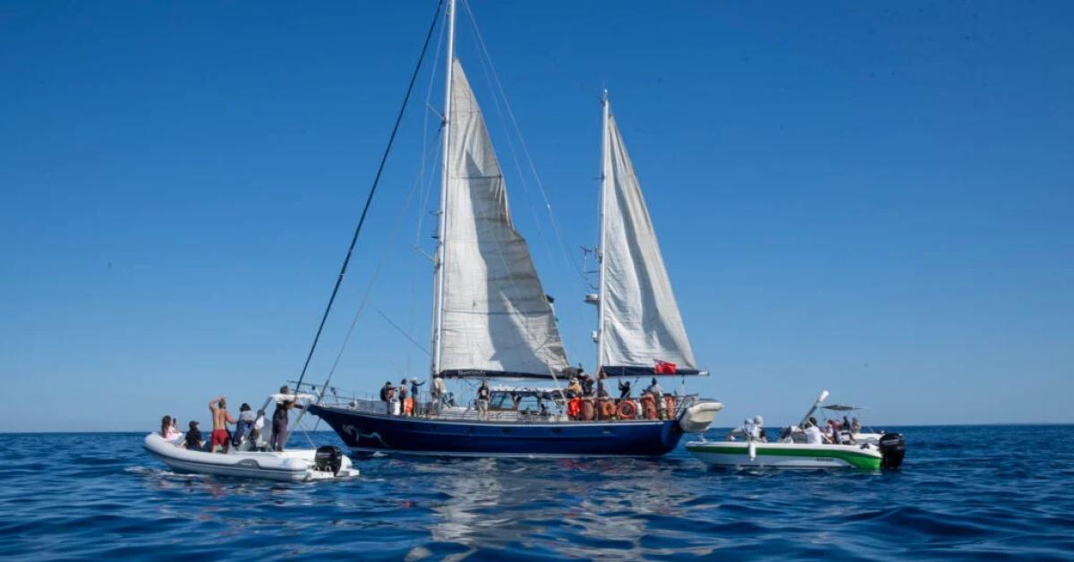 flotilla rimpatrio per 26 italiani gli altri 15 espulsi settimana prossima attivisti denunciano israele per detenzione illegale