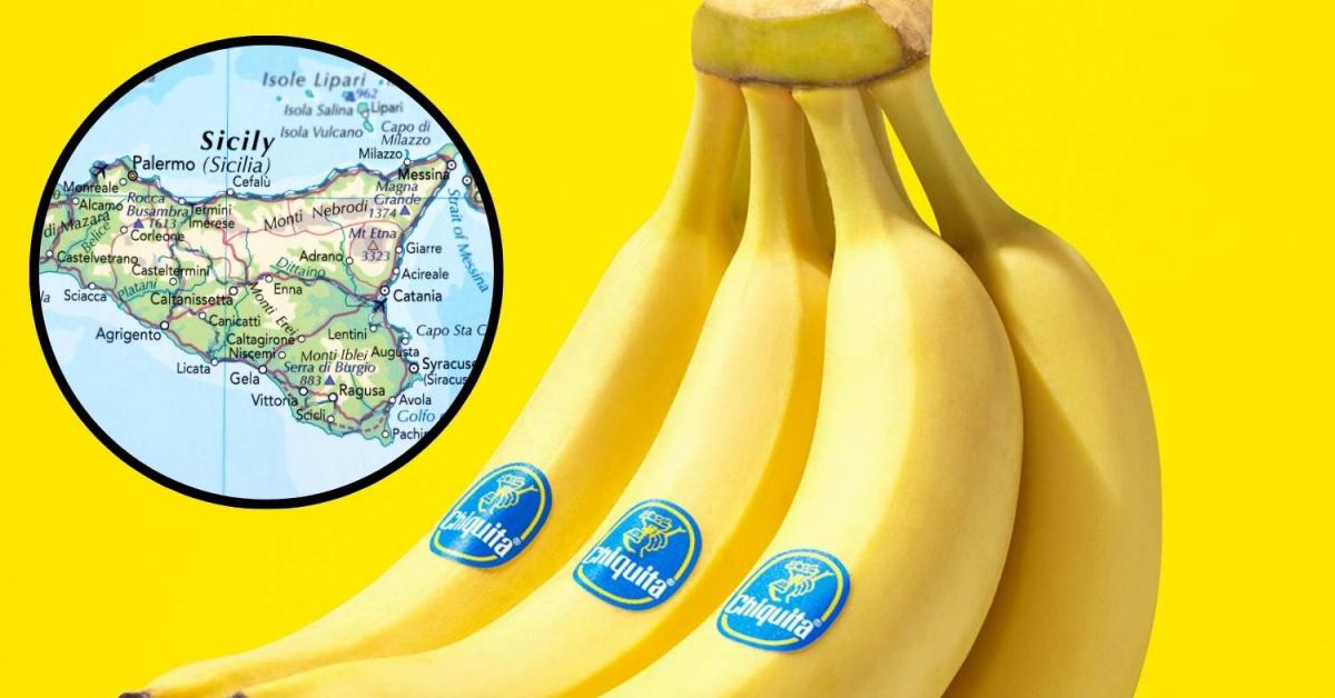 Chiquita realizzerà in Sicilia le prime piantagioni di banane made in Italy e le vendite a partire dal 2026