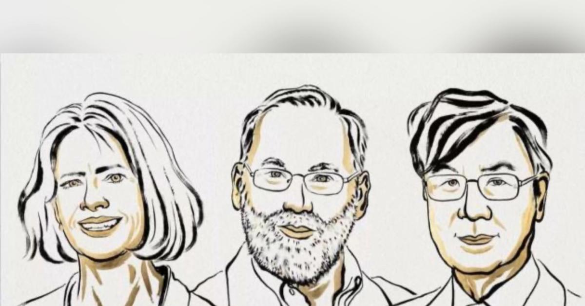 Premio Nobel per la Medicina 2025 a Mary Brunkow, Fred Ramsdell e Shimon Sakaguchi per studi sul sistema immunitario