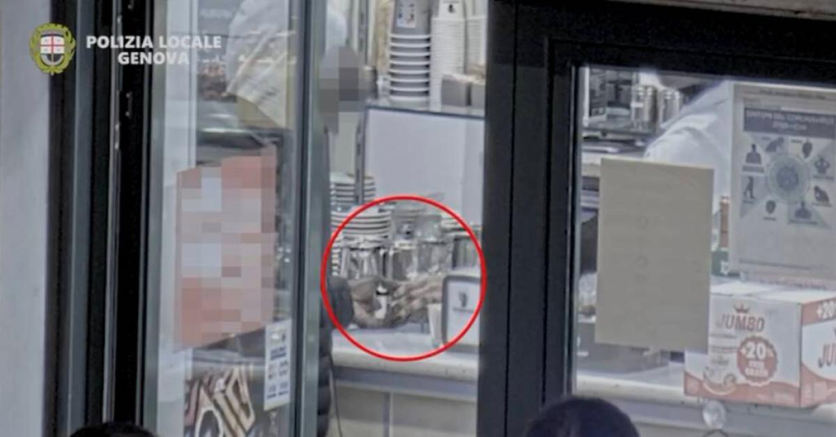 Genova, il ristorante etnico usato come copertura per poter spacciare il crack e comprare auto di lusso